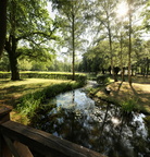 Schloßpark Raakow