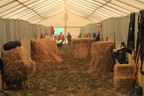 IMG 4762