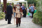 IMG 5589