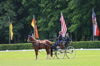 IMG 9354
