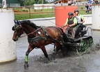 2023.06.25 - Landesmeisterschaft BERLIN-BRANDENBURG - Tag 3