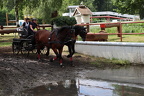 IMG 9582