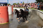 IMG 9623