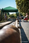 2-DSC05161