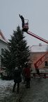 Weihnachtsbaum 2023