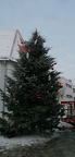 Weihnachtsbaum 2023