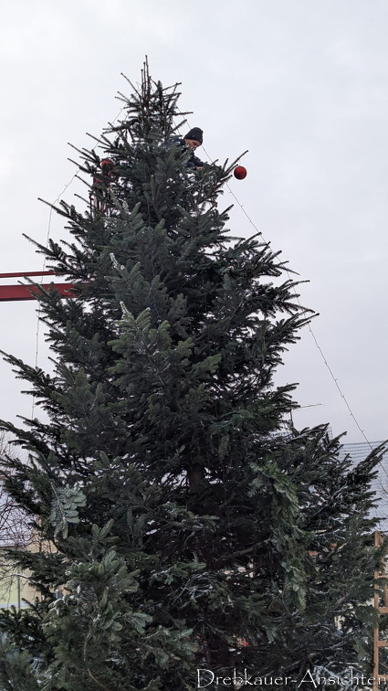 Weihnachtsbaum 2023