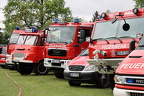 IMG 0795