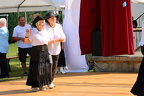 IMG 0854