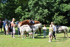 IMG 0868