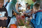 DSC 0093