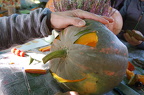 DSC 0096