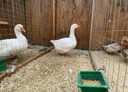 IMG 0320