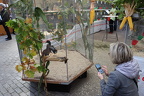 IMG 1619