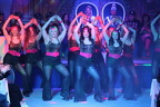 IMG 4977