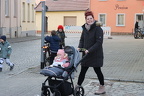 IMG 7237