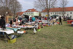 IMG 7643