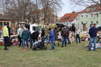 IMG 7665