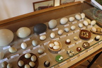IMG 7720