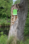 IMG 7889