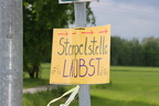 IMG 7908