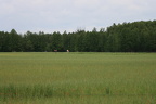 IMG 7801