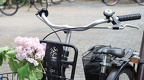 IMG 7817