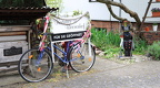 IMG 7819
