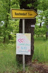 IMG 7828
