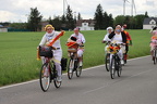 IMG 7868