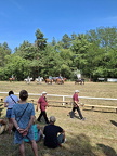 IMG-20250622-WA0062