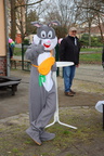 IMG 6441