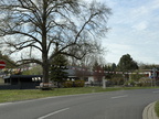 IMG 0822