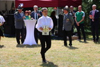 IMG 7454