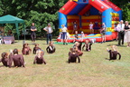 IMG 7551