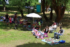 IMG 7590