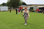 IMG 0439